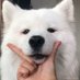 parun.kw ë (@juneberrykw) Twitter profile photo parun.kw ë (@juneberrykw) Twitter profile photo