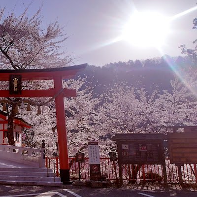 love2_love52624's profile picture. 