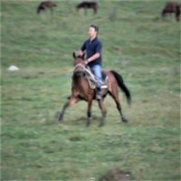 Kicengge (@kicengge) 's Twitter Profile Photo