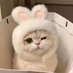 Serhii 🐰 (@__serhii___) Twitter profile photo Serhii 🐰 (@__serhii___) Twitter profile photo