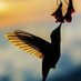 Rjharsh Babu (@rjharshbabu) Twitter profile photo Rjharsh Babu (@rjharshbabu) Twitter profile photo