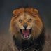 fahd (@gokar2000) Twitter profile photo fahd (@gokar2000) Twitter profile photo