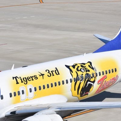 B94AugyNORdt3U0's profile picture. mj 徳島産まれ名古屋育ち 野球🐅 飛行機✈️、カメラ📷