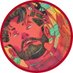 ♦️Sxodinger| real-time oracle arc ⚡️ (@sxodinger) Twitter profile photo ♦️Sxodinger| real-time oracle arc ⚡️ (@sxodinger) Twitter profile photo
