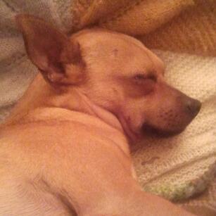 ivantejedor77's profile picture. Menos policía y más sanidad.
El pueblo que olvida su historia está obligado a repetirla