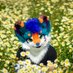 Kimyō 🔜 Ibercon (@i_am_kimyo) Twitter profile photo Kimyō 🔜 Ibercon (@i_am_kimyo) Twitter profile photo