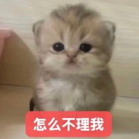 矮脚猫之光 (@lxjeisdjh) 's Twitter Profile