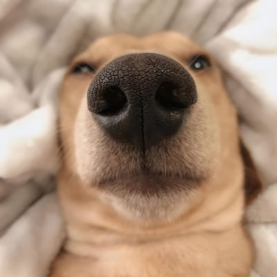 5292_wer's profile picture. 