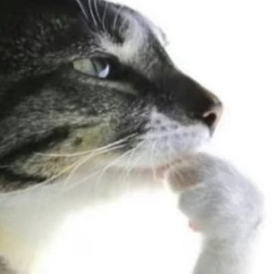 20 any/any thing
small time artist guy
D2/NITW/HK fanatic
i like funny animal people