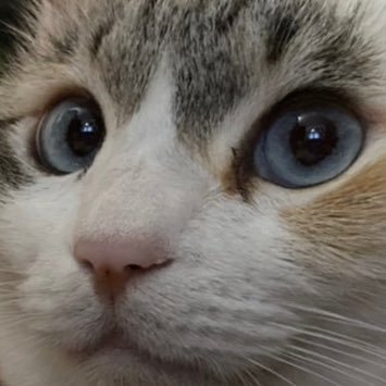 longcrychicken's profile picture. 6年ぶりの不時着