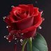 حوراء سكينه (@twytr7873) Twitter profile photo حوراء سكينه (@twytr7873) Twitter profile photo