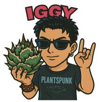 Iggy (@mwbcjrli5d4bts0) 's Twitter Profile