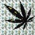 🕷️Drug panda🐼2大阪手押し尼崎手押し天王寺手押し兵庫手押しミナミ手押し梅田手押し (@briandiaz120345) Twitter profile photo 🕷️Drug panda🐼2大阪手押し尼崎手押し天王寺手押し兵庫手押しミナミ手押し梅田手押し (@briandiaz120345) Twitter profile photo
