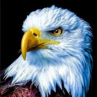 Beşiktaşlı (@besiktas1903_l) 's Twitter Profile