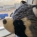енот кофейный (@cofffee_raccoon) Twitter profile photo енот кофейный (@cofffee_raccoon) Twitter profile photo