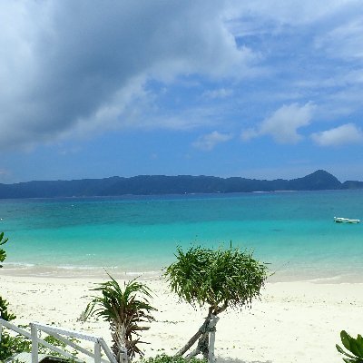 kisuke_yan's profile picture. ふたつめ！
推し：幽音しのちゃん
心奪われて霊媒師になりました👻🫧 ゆるーい絵も描きます