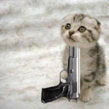 itsmestario's profile picture. ooga booga