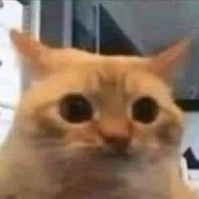 CarmelSaltChoco's profile picture. 