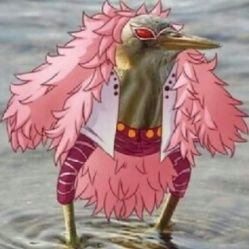 p_oliveira_s's profile picture. 