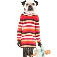 Perro Verde Liberal (@verdeliber9249) 's Twitter Profile