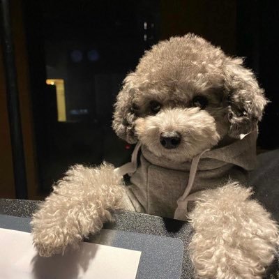 tytfboo27's profile picture. 