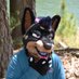 💖 Danny Doberman 💖 (@lilcsrspalace) Twitter profile photo 💖 Danny Doberman 💖 (@lilcsrspalace) Twitter profile photo