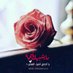متفائلة 🌼🌿 (@shosho1990a) Twitter profile photo متفائلة 🌼🌿 (@shosho1990a) Twitter profile photo