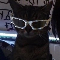 ndoo (@_warmhand) 's Twitter Profile