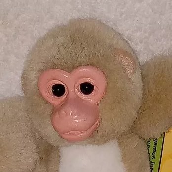 mister Six🐒さんのプロフィール画像