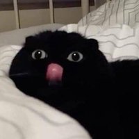 𝑯𝒆𝒂𝒓𝒕 𝑨𝒕𝒕𝒂𝒄𝒌 (@xheart_attackx_) 's Twitter Profile Photo 𝑯𝒆𝒂𝒓𝒕 𝑨𝒕𝒕𝒂𝒄𝒌 (@xheart_attackx_) 's Twitter Profile Photo