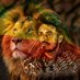 natan amhara (@kingamhara) Twitter profile photo natan amhara (@kingamhara) Twitter profile photo