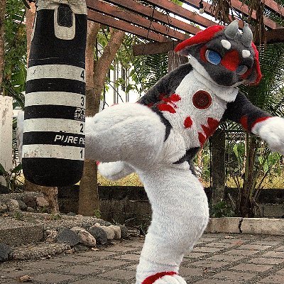 Nikko Ong (Fursuit Commission) CLOSEDさんのプロフィール画像