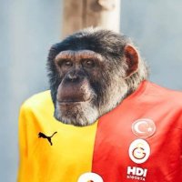 Edovoley (@edovoley) 's Twitter Profile