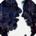 Kara Davud (@bektazel579465) Twitter profile photo Kara Davud (@bektazel579465) Twitter profile photo