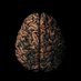 NeuroFort🧠 (@neurofort) Twitter profile photo NeuroFort🧠 (@neurofort) Twitter profile photo