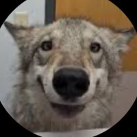 Ben (@1875ben_) 's Twitter Profile Photo