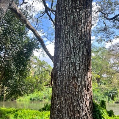 •Geógrafa del mundo 🗺️ •Protectora del planeta 🌎 •Sobre pensando en la evolución 🐒