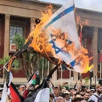 1099Digdaya's profile picture. Free Palestine