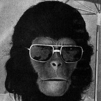 Crypto Ape (@cryptoape45) 's Twitter Profile