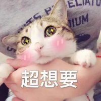 金娘子 (@jinniangzi) 's Twitter Profile Photo 金娘子 (@jinniangzi) 's Twitter Profile Photo
