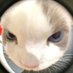Hiko (@aimmhiko) Twitter profile photo Hiko (@aimmhiko) Twitter profile photo