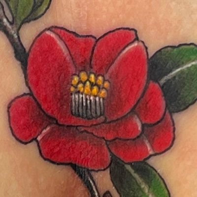 うさぎを愛する所有者様にお支えしております。ここではそんな日々を綴っていきます。 所有者様に躾けられた夜、独りで疼きを沈める夜、密やかに...皆様と交わる夜 。配信では、私の秘密をそっと覗いていただければ嬉しく思います。#変態ピアス