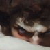 jpcrvlh (@jpcrvlh_pepe) Twitter profile photo jpcrvlh (@jpcrvlh_pepe) Twitter profile photo