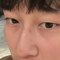 貓貓 (@lemonw2112) 's Twitter Profile