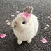 Erikita 💞 (@erikada29171059) Twitter profile photo Erikita 💞 (@erikada29171059) Twitter profile photo