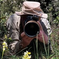 Roger Harding (@hardingrogerc) 's Twitter Profile
