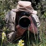 HardingRogerC's profile picture. Birds, orchids, butterflies and  all other wildlife pestered by my camera. Love playing poker and harmonica (but not at the same time!)
