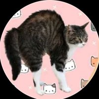 tüyler diken diken (@ismimksenia) 's Twitter Profile Photo tüyler diken diken (@ismimksenia) 's Twitter Profile Photo