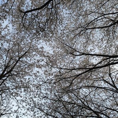 0NQd8OAS7uuxDfr's profile picture. 잠리