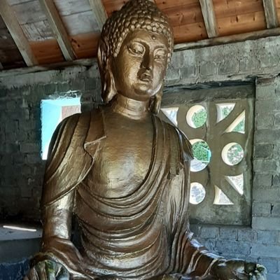Retired slim male, considered attractive looking for meets/chats with attractive slim females, couples, convincing cd/tv. Can travel. Not here to buy or sell.